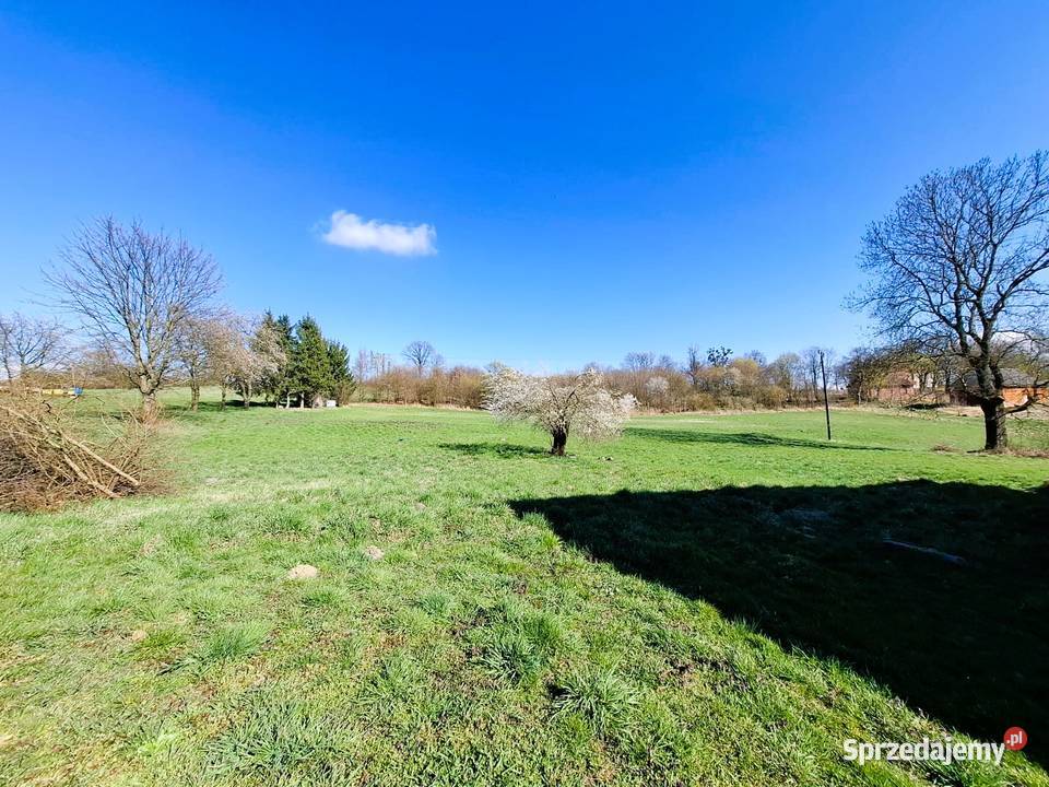 Działka budowlana 10991mkw Kowale Oborniki 10991m2