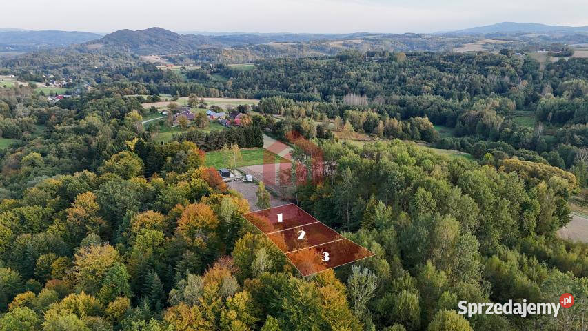 Działka Zagórze 613m2