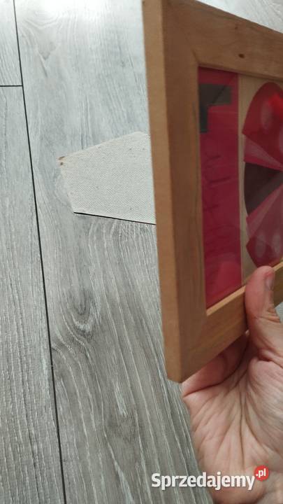 obraz obrazek dekoracyjny biedronka Poznań