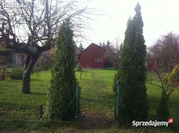 ogródek działkowy Ogródki działkowe zgoda pabia Pabianice