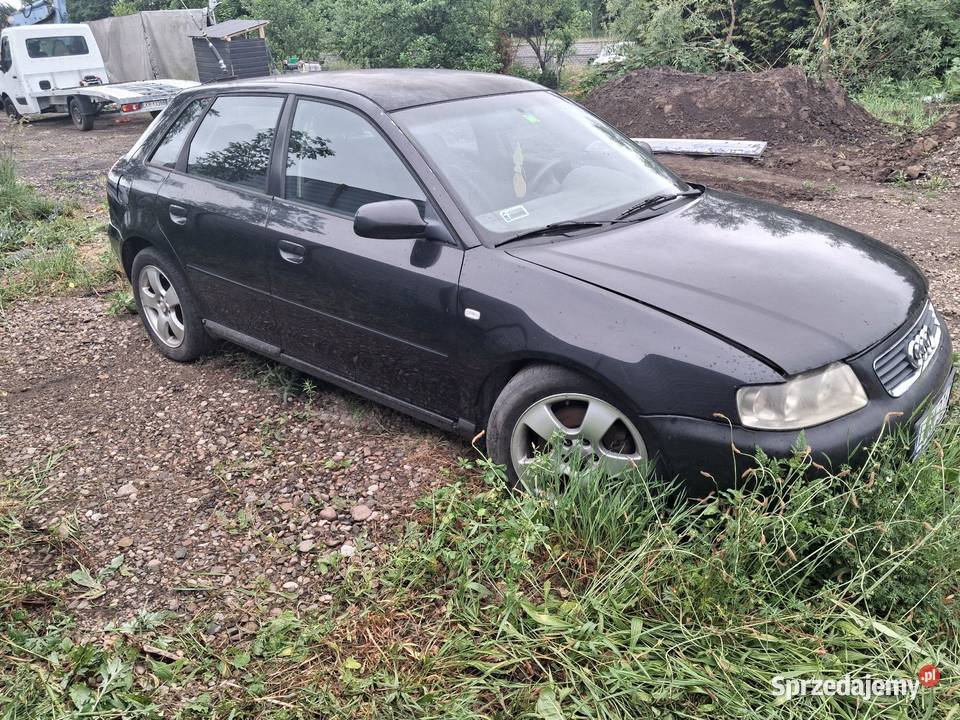 Audi a3 19 tdi 130 Ciotusza Stara