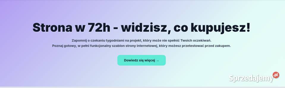 Sprzedam gotowy szablon do stworzenia strony Warszawa