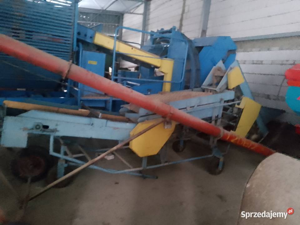 Sortownik do ziemniaków Łosice sprzedam