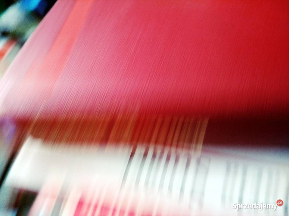 Ostatnie lato Simonow książki Warszawa Antykwariat