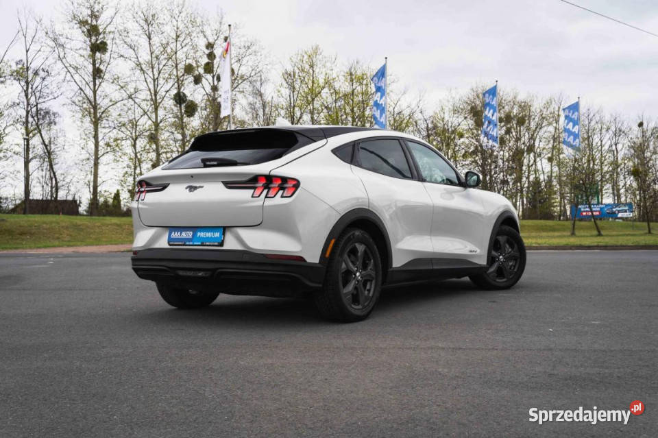Ford Mustang MachE Standard Range RWD 0cm3 Zabrze