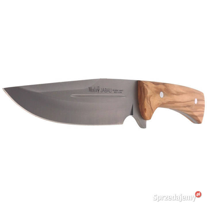 Nóż Muela Full Tang Olive Wood Satin X50CrMoV15 Warszawa