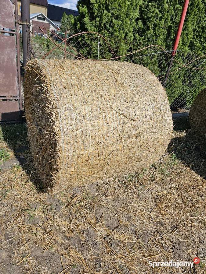 Sprzedam tegoroczne baloty słomy pszenicznej 120