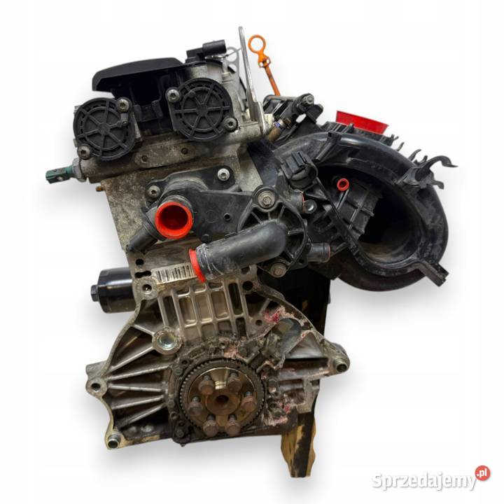 SILNIK CGG CGGA CGGB Skoda Octavia Leon Fabia II osobowe lubelskie