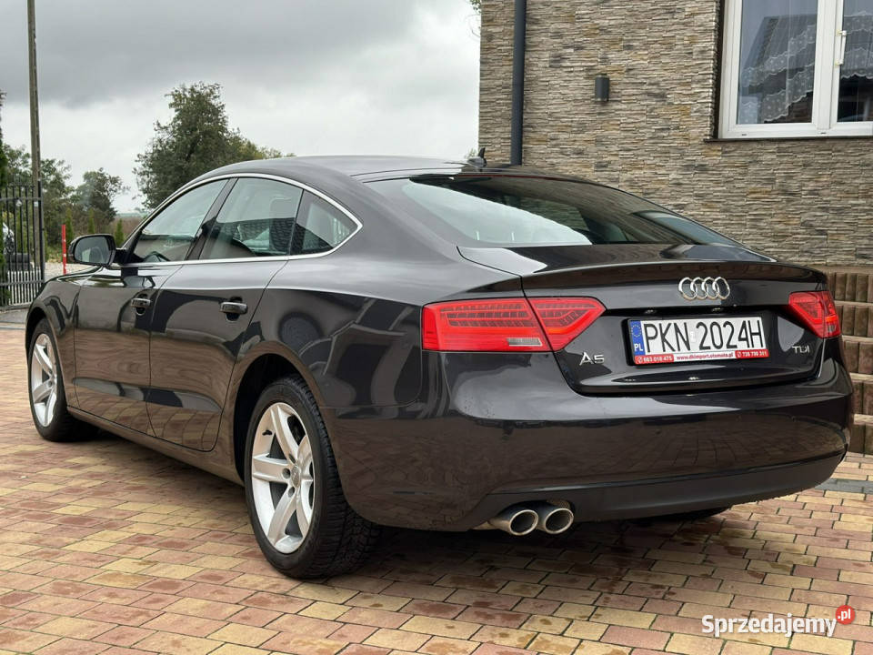 Audi A5 Zweryfikowany CarVertical 8T 20072016 diesel Sadlno