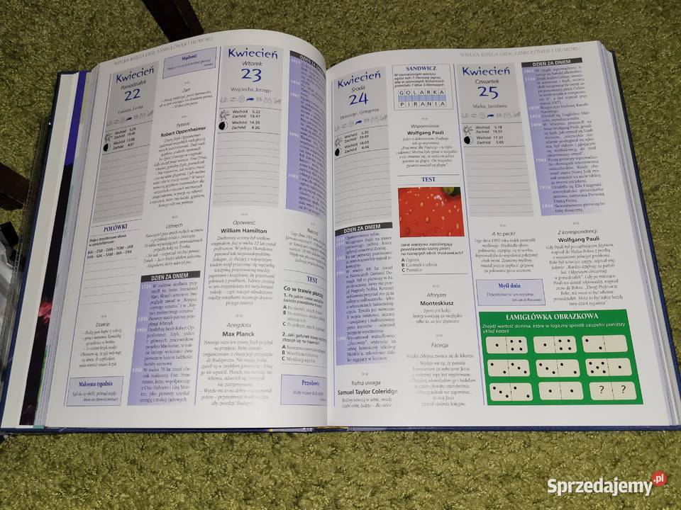 Wielka księga gier łamigłówek i humoru Kultura i Rozrywka mazowieckie Warszawa