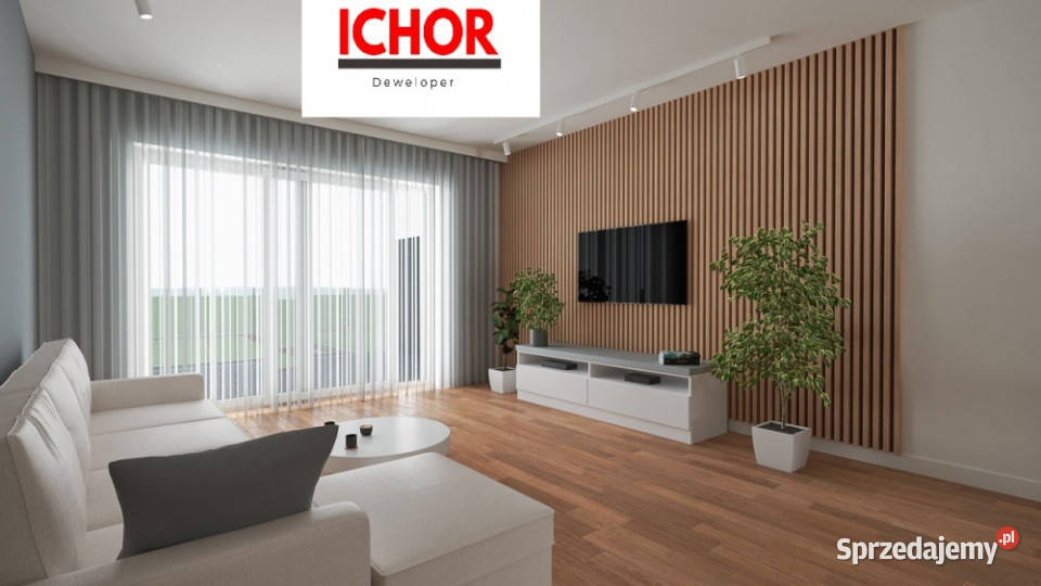 Dom Starcza Brzozowa 30 ICHOR Deweloper śląskie