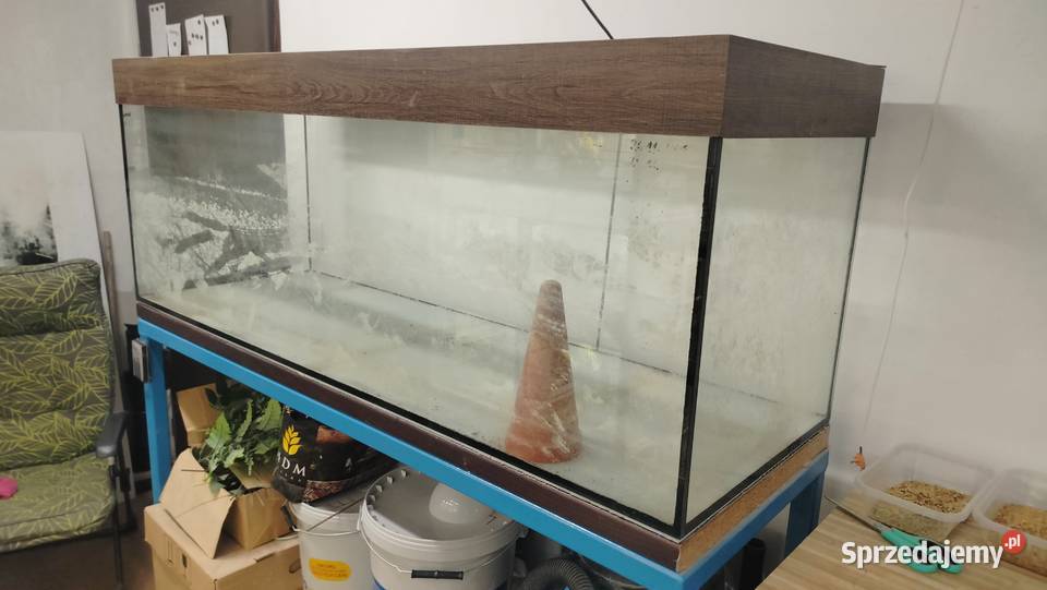Sprzedam akwarium 375l Akwarystyka