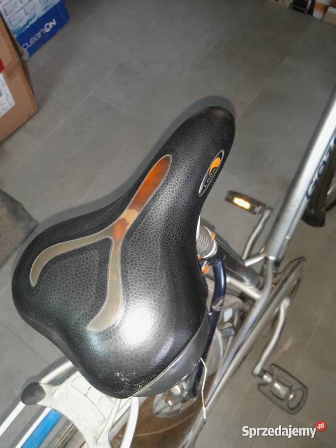 GAZELLE damka lubelskie Łuków