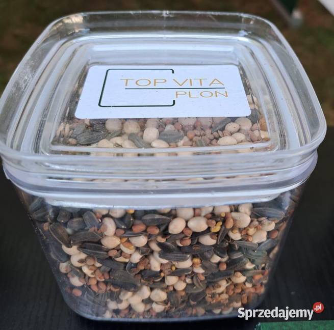 Top Vita Plon mieszanka poplonowa Top Farms Gniezno