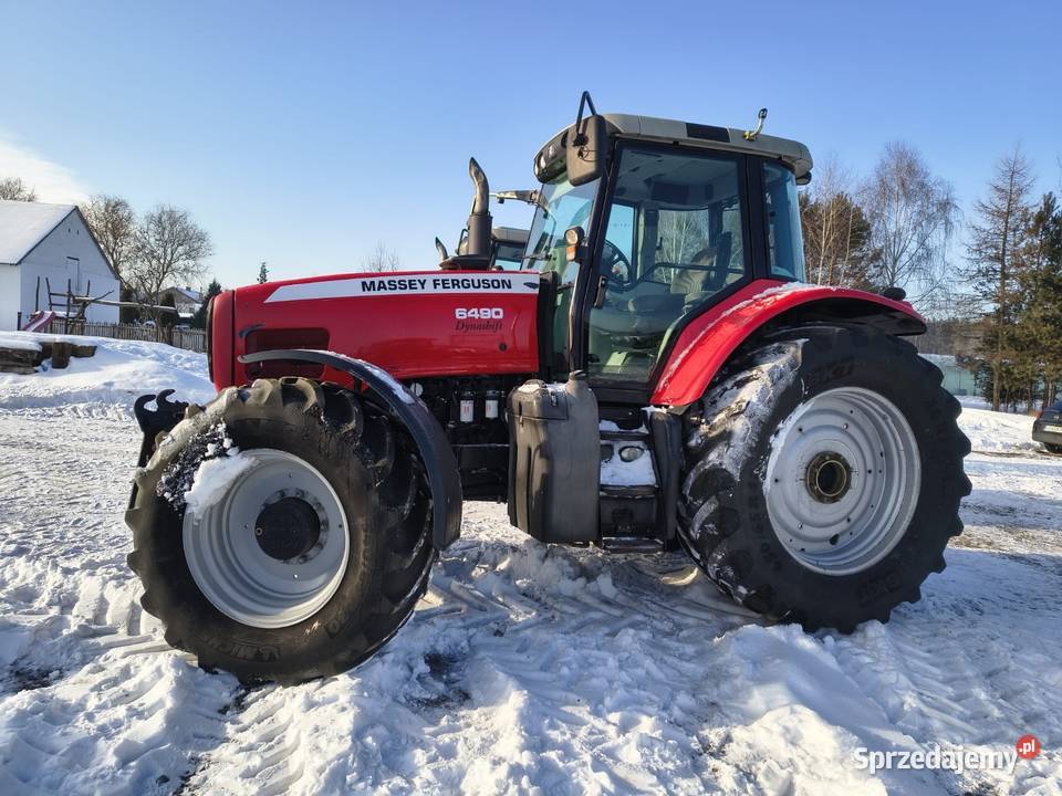 Massey Ferguson 64906485 lubelskie Grabów Szlachecki