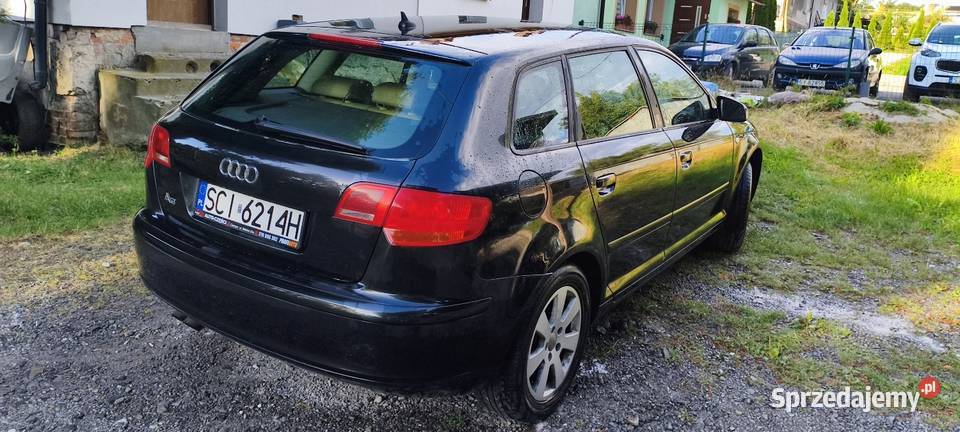A3 8p skórzana tapicerka A3 śląskie Cieszyn