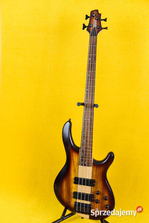 Gitara basowa Cort fretless podkarpackie Krosno sprzedam