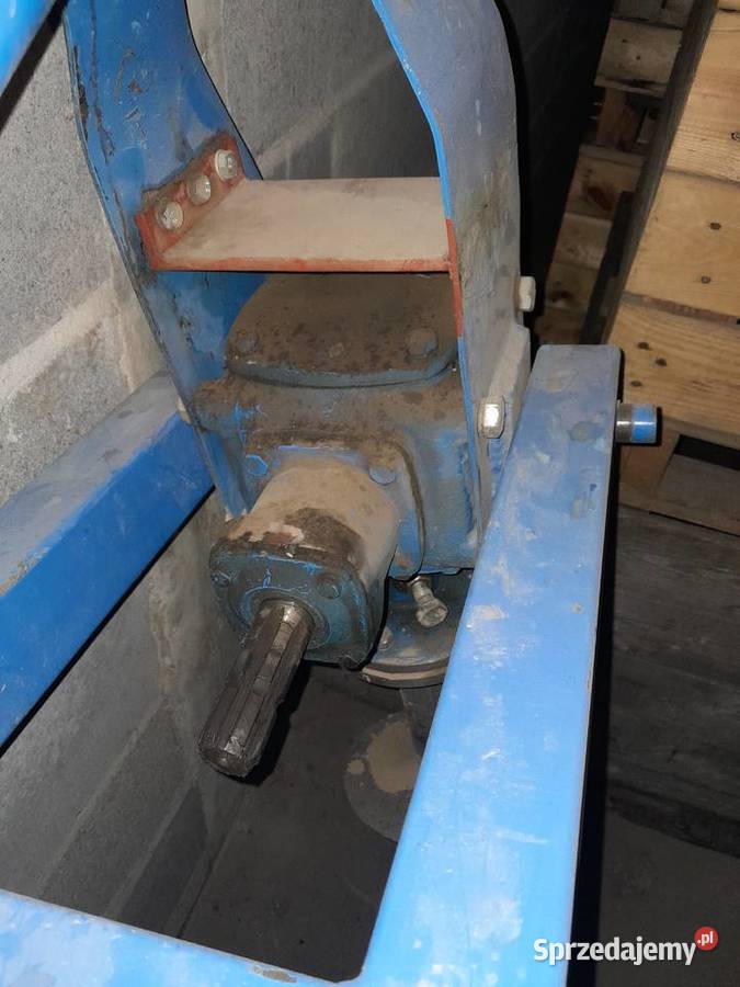 Swider sadowniczy Sadkowice