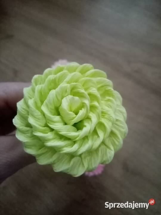 Kwiaty do dużej Palmy Pokrzywnica