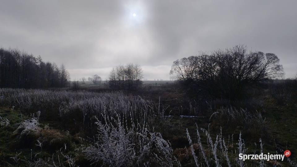 Łąka na sprzedaż Choszczna leśna Choszczno sprzedam