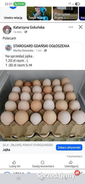 Jaja świeże Pinczyn