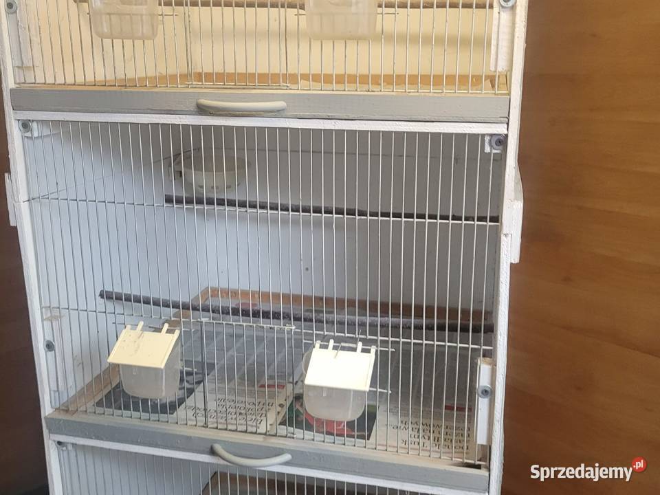 Klatki regały Kanarków Łaziska Górne