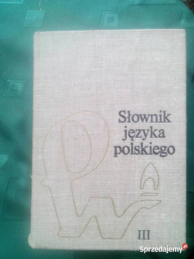 Słownik języka polskiego Pozostałe łódzkie Łódź