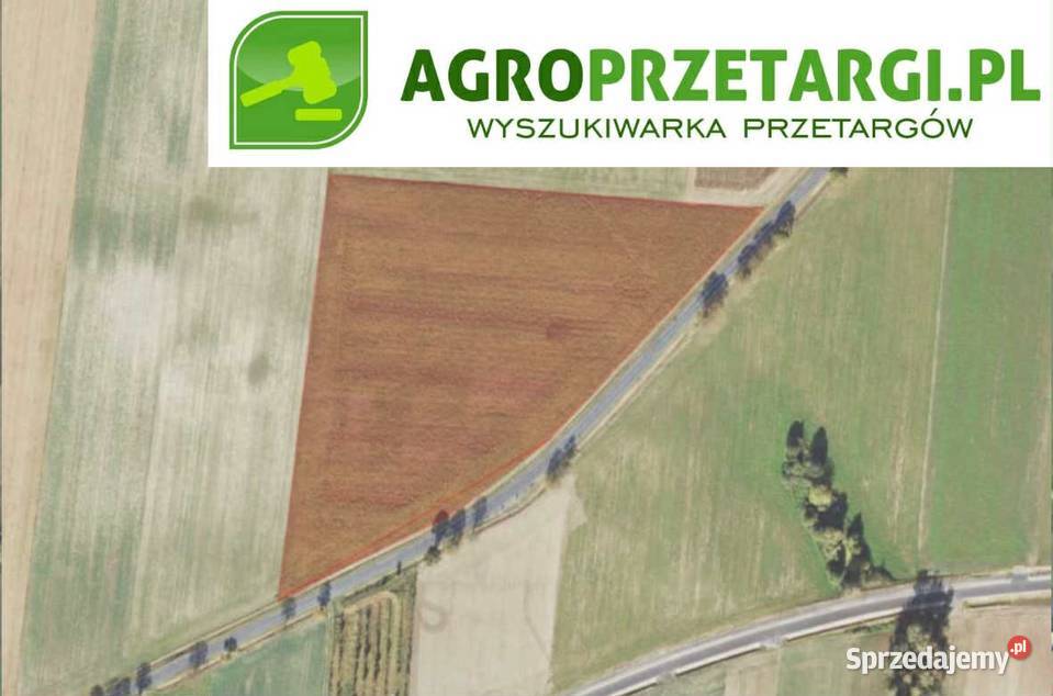Dzierżawa 433 ha gruntu rolnego Wynajem wielkopolskie
