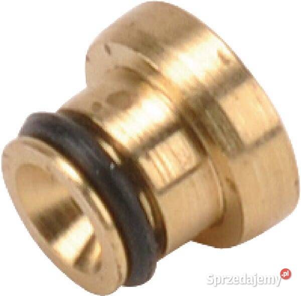 Dysza główna 591936 Kamionna