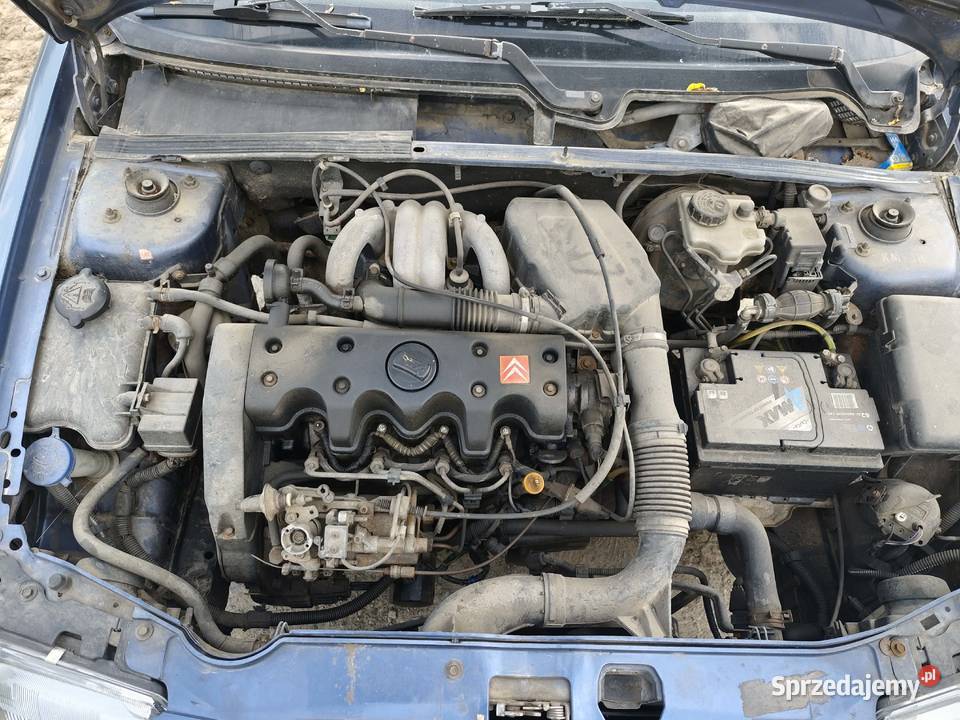 Citroen Saxo 15 Diesel 57 1996 Pogorzelec