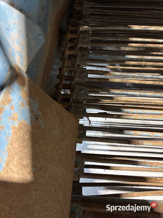 Sprzedam kopaczów do ziemniaków Agromasz Kopaczki Węgleszyn-Dębina