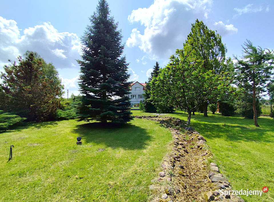 Sprzedam dom z halą produkcyjną Wola Czołnowska