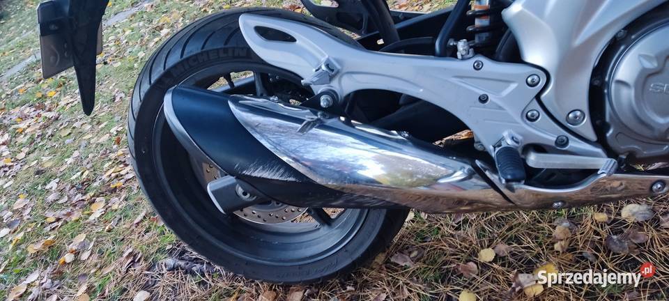 Suzuki Gladius SFV650 czterosuwowy Ruda Śląska