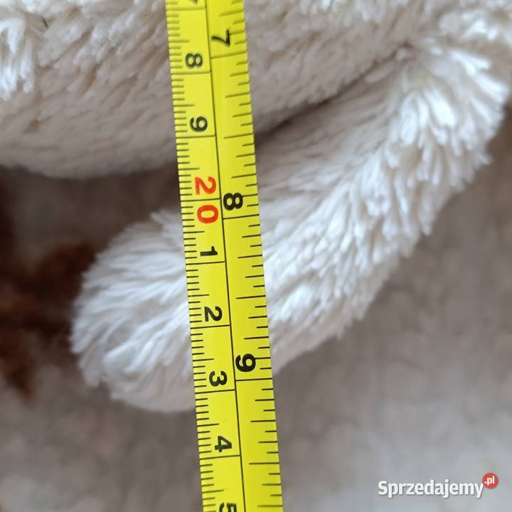 miś w odcieniu kremowym 40 wielkopolskie Poznań