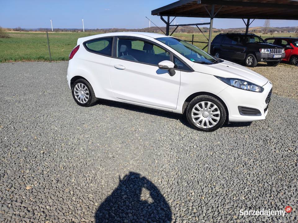 Ford Fiesta 125 Lift z Niemiec 225000km Fiesta podkarpackie Rymanów