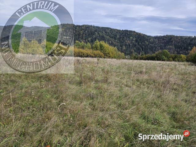 Ogłoszenie działka 1000m2 Kamienica sprzedam