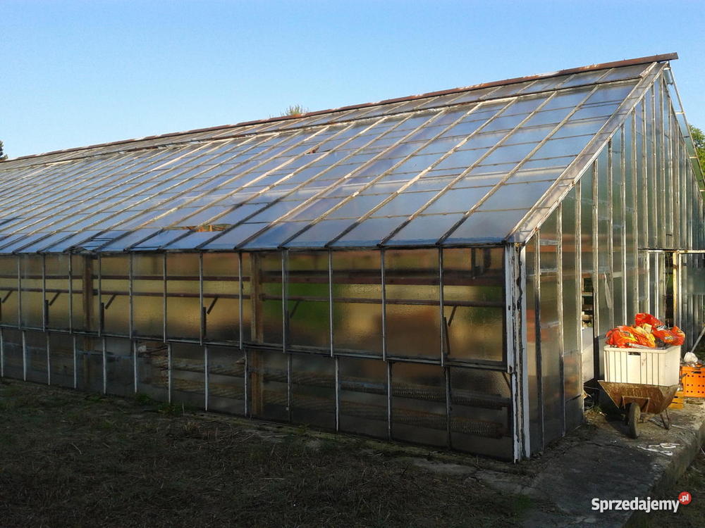 szklarnie Lubień Kujawski