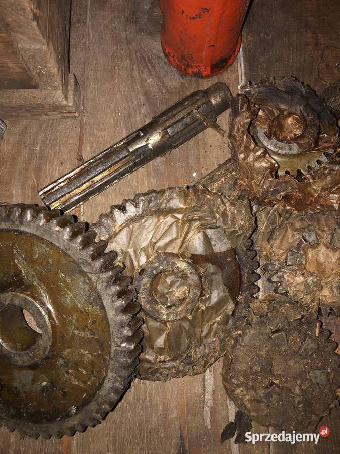 nowe półosie dzik Piła