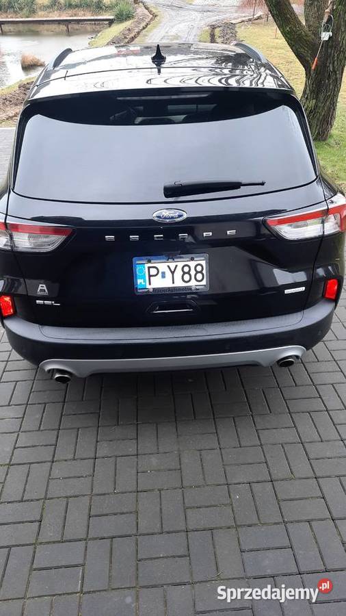 Ford ESCAPE 2020 134KM wielkopolskie Zduny