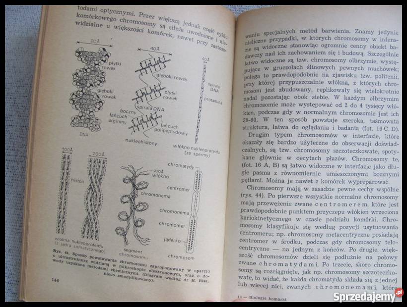 Podstawy biologii współczesnej Biologia komórki biologia, ekologia Płock