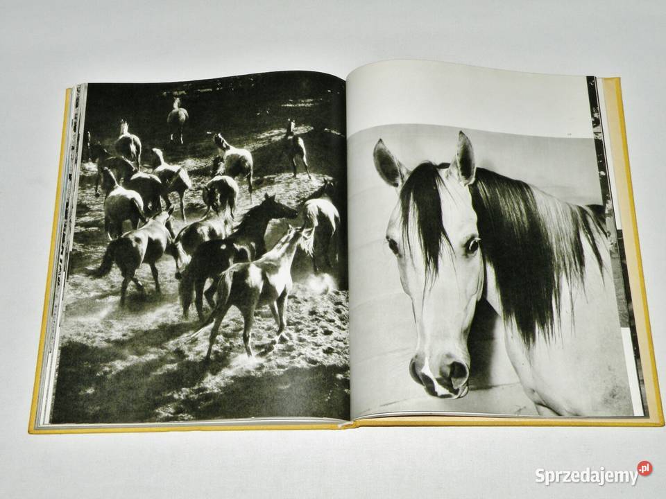 Konie Marian Gadzalski album WSiT 1978 album, atlas Bydgoszcz