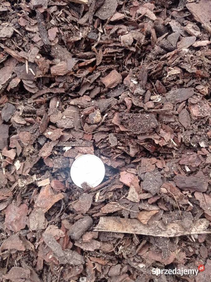 Kora Sosnowa Frakcja 010mm 130 nettom3 Brzeźno