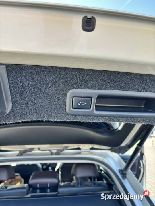 Lexsus RX z Polskiego Salonu Bydgoszcz