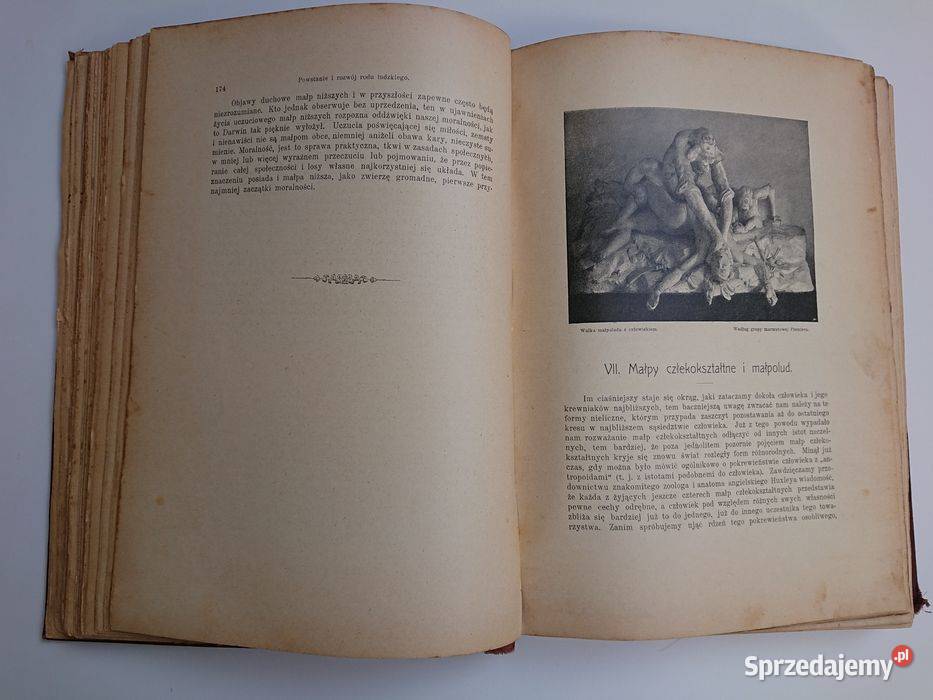 KREMERWSZECHŚWIAT I CZŁOWIEK wydanie 1906r tom Antyki Warszawa