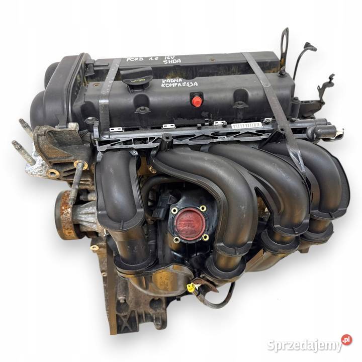 SILNIK SHDA Ford Focus II MK2 C C 16 16V 100 osobowe lubelskie Chełm