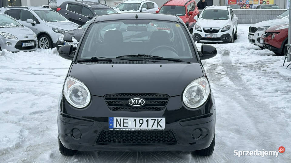 Kia Picanto Benzyna Zarejestrowany Ubezpieczony Hatchback warmińsko-mazurskie Elbląg