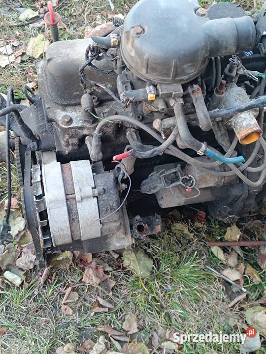 Alternator Fiat Seicento rozrusznik 900 Żyrardów