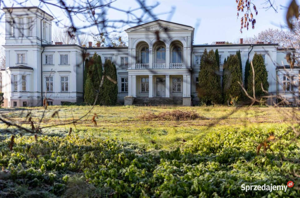 PAŁAC JEZIOREM 4 HA GOTOWY DO ARANŻACJI Lubstów sprzedam
