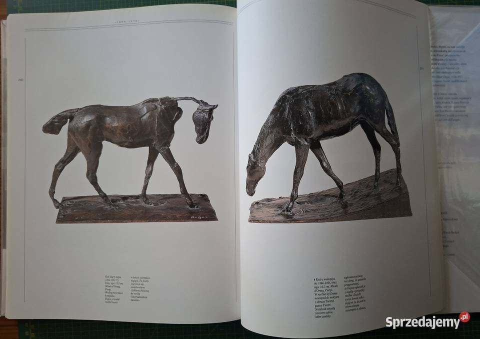 Życie i twórczość Edgar Degas Arkady twarda z obwolutą Kraków