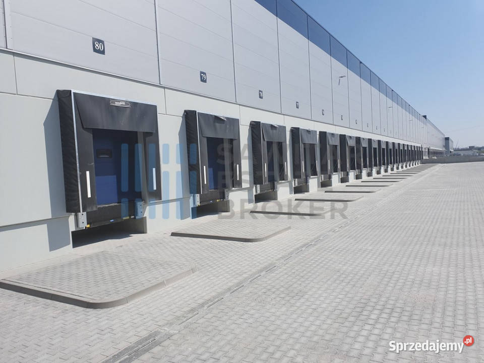 Hala klasy A Sosnowiecbez prowizji Sosnowiec